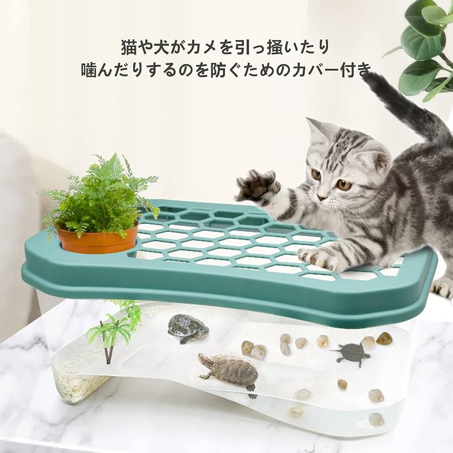 PSA10 カメックス とりかえっこ プリーズ　渦巻きあり 渦巻き】カメックス とりかえっこプリーズ 旧裏 PSA10鑑定済