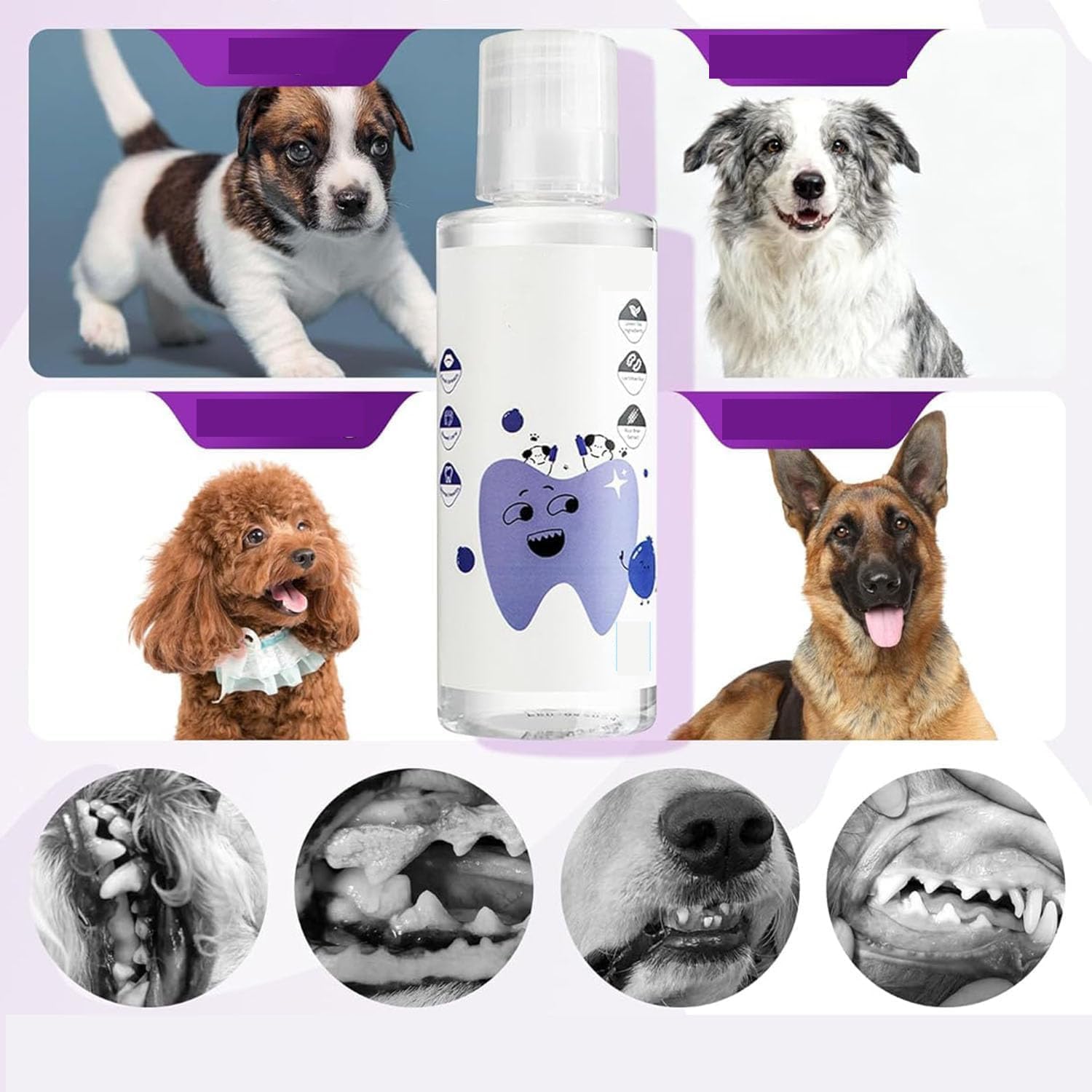 PawBright Dental Plus, formule naturelle, inodore et sans saveur pour lutter contre le tartre, promouvoir des gencives saines et rafraîchir l'haleine, bain de bouche naturel sans saveur, utilisation