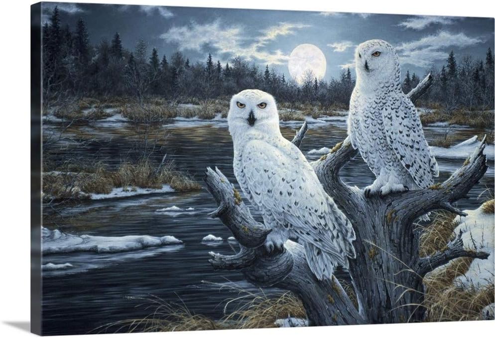 CANVAS ON DEMAND Snowy Owls Canvas Wall Art Print by Jeff Tift, Home Decor, Design, Wildlife Artwork,36" x24in
