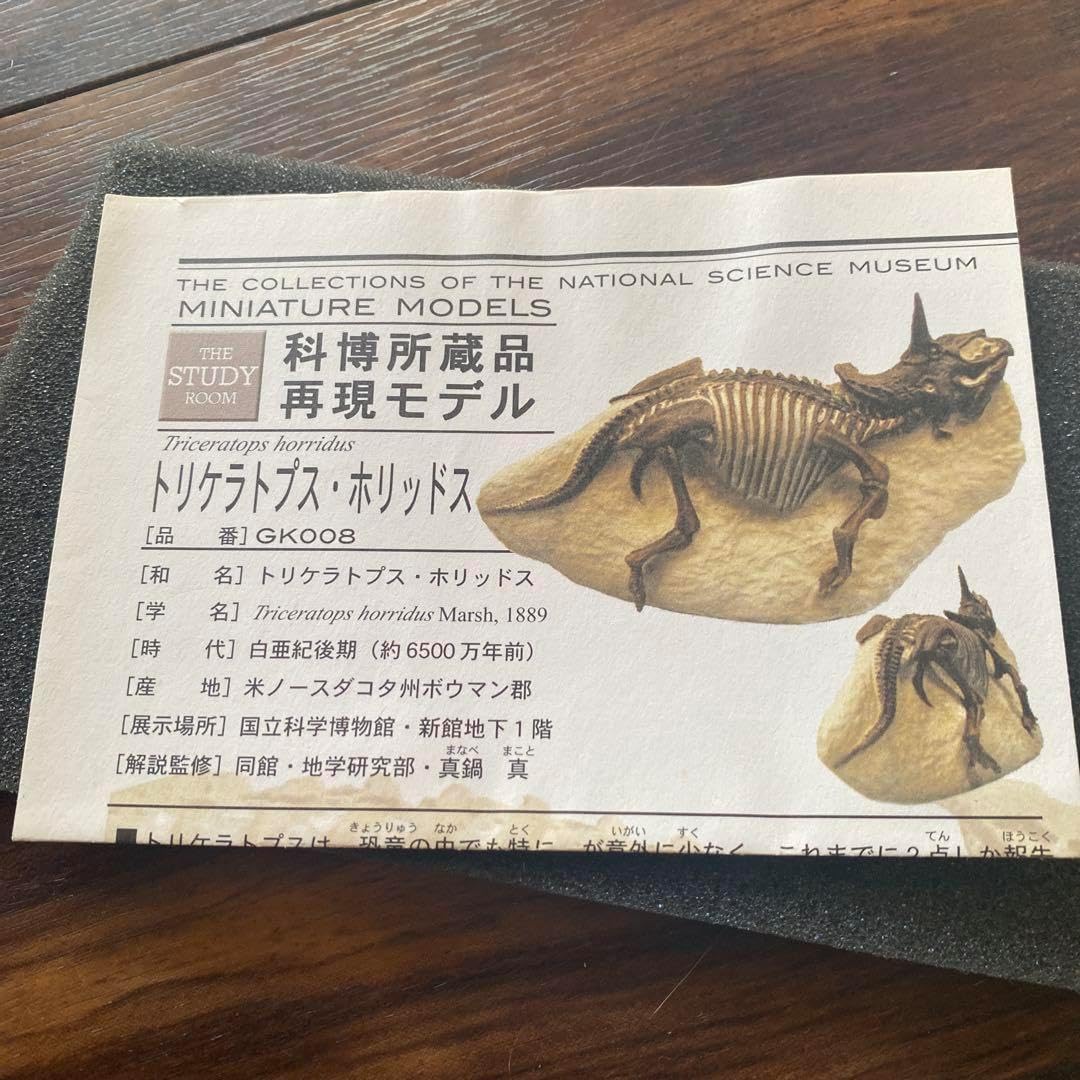 トリケラトプス ホリッズ 再現モデル トリケラトプス・ホリッズ 再現モデル