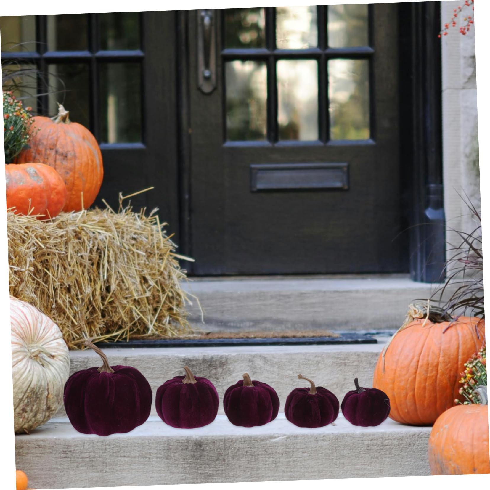 Ciieeo 5pezzi Zucca Decorativa Artificiale Zucca Finta per Halloween e Ringraziamento Ornamento Reale
