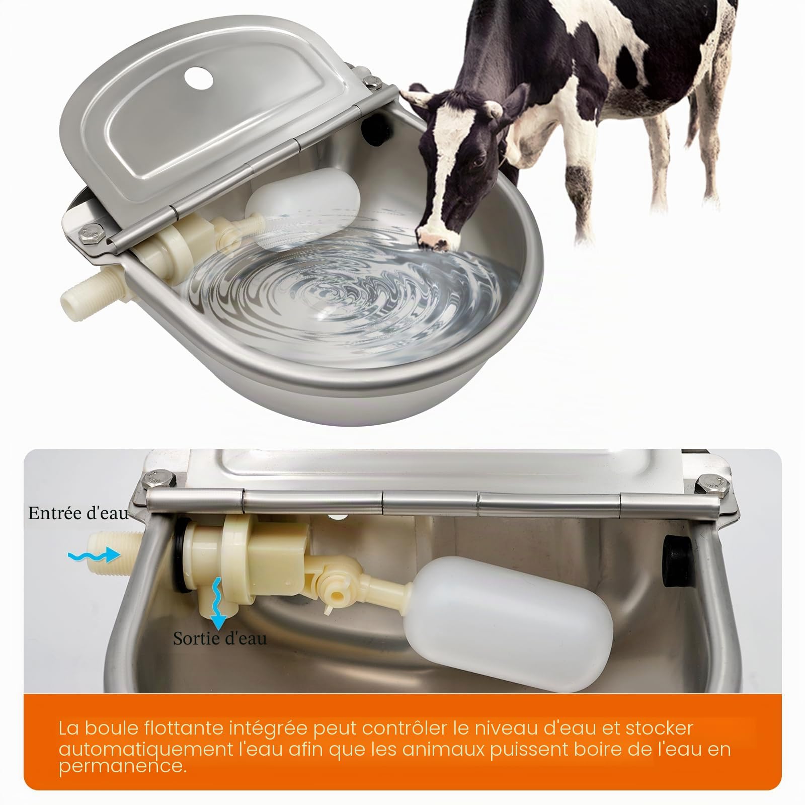 Abreuvoir Automatique pour Chien avec 2 Valves à Flotteur, Abreuvoir en Acier Inoxydable pour Chien Cheval Bovin Chèvre Mouton