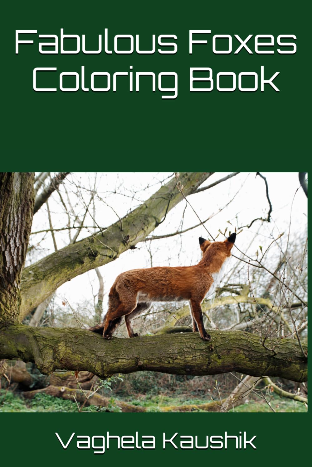 Fabulous Foxes Coloring Book