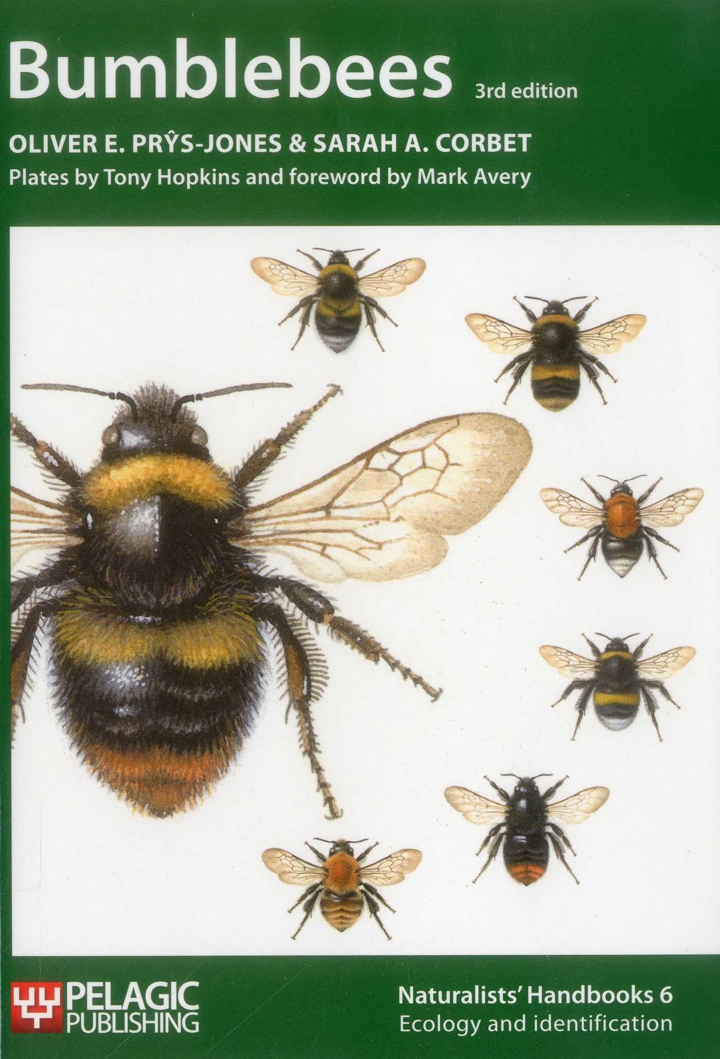 Bumblebees: 6 (Naturalists' Handbooks)