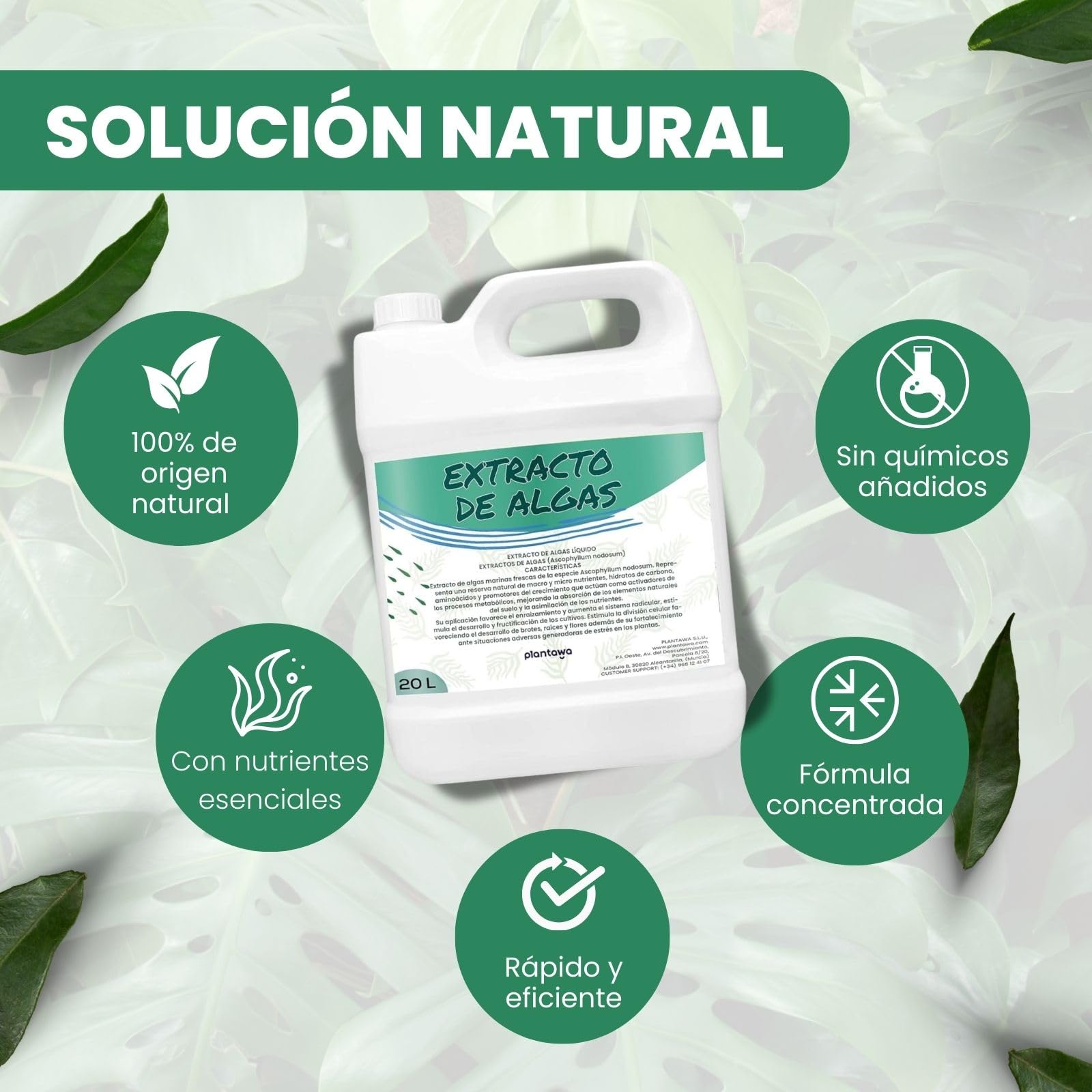 PLANTAWA Extracto de Algas Marinas 20L | Refuerzo Natural para el Cuidado y Nutrición de Superficies y Entornos | Acción Eficaz y Seguro | Enraizante y Micorrizas.