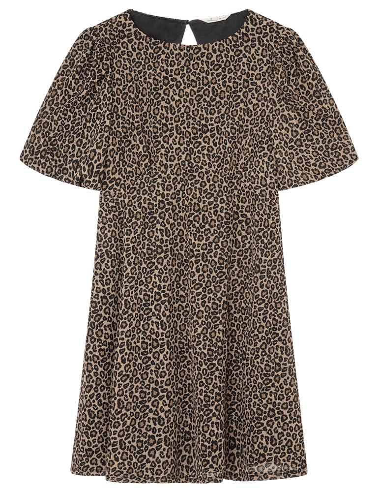 SPRINGFIELD Women's Dress, Stone, M