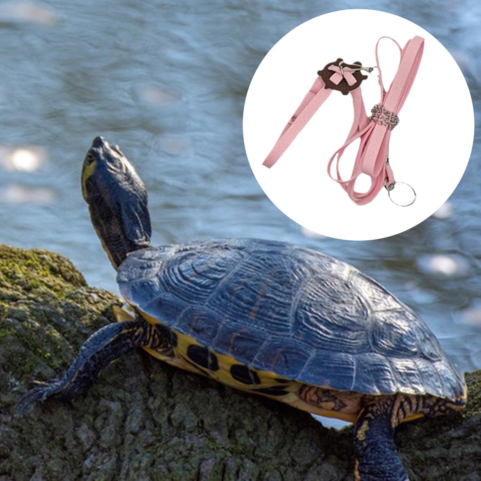 Laisses de Coffre de Tortue, Harnais d'extérieur en Cuir PU - Collier de Poitrine Souple