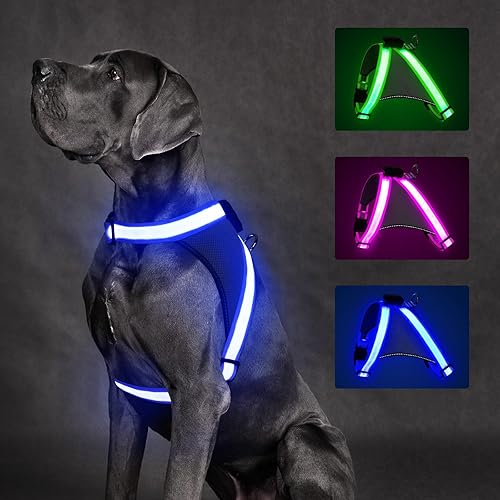 ChalkLit Arnés para perro con luz, arnés LED sin tirones que brilla en la oscuridad para caminar por la noche, chaleco de seguridad con luz