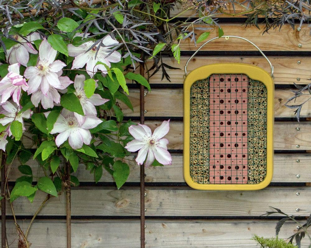 Insektennisthilfe Kombi-Satz 2 Stück - Insektenhotel mit Lehm & Schilf + Nistblock aus Hartholz Naturschutzprodukt