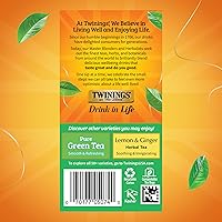 Vista 394 de Twinings Blackcurrant Breeze - Té negro, 6 paquetes de 20 unidades, bolsas de té envueltas individualmente, dulce, sabor picante, con cafeína