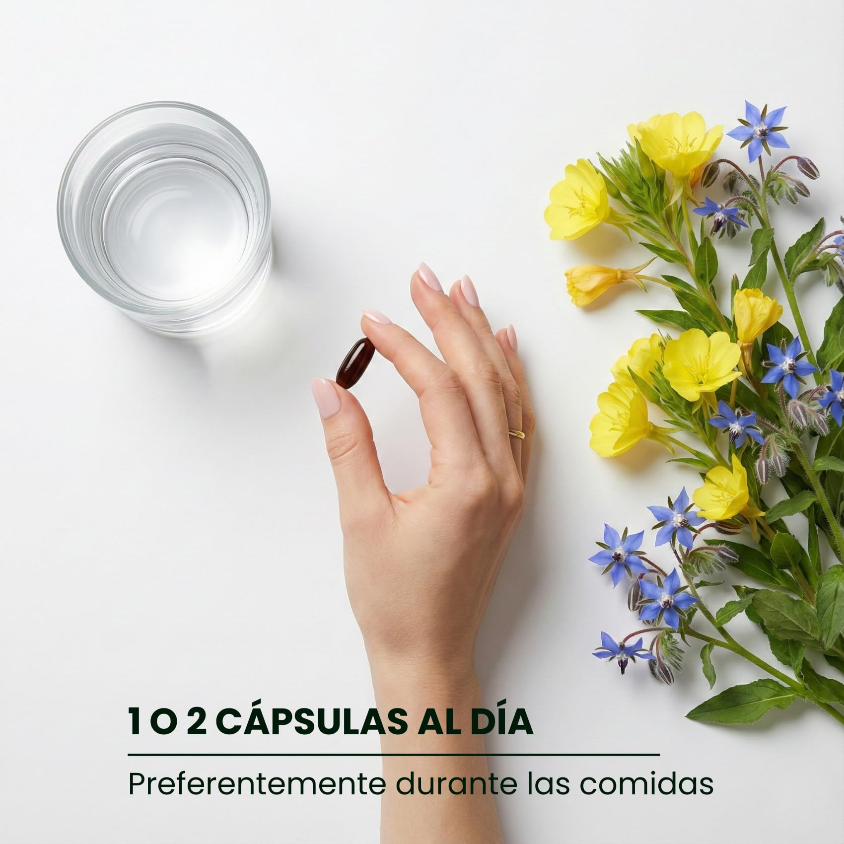Aceite de Onagra y Borraja perlas 1000 mg - 12% GLA, Vitamina E Natural y B6 coenzimada (P5P) - Equilibrio Hormonal, SPM, Menopausia y Salud de la Piel - 170 Perlas - Prensado en Frío | Nutribiolite