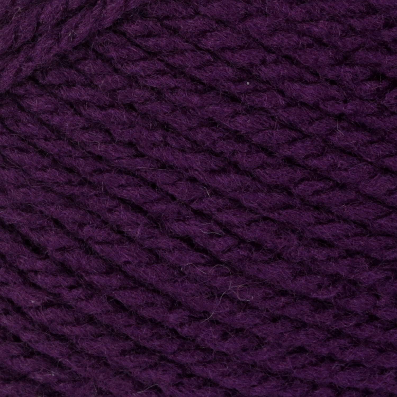 Patons Astra Fantasy Yarn - 10 Pack of 1.75oz/50g - Acrylic - 3 DK - 161 Yards - Knitting/Crochet