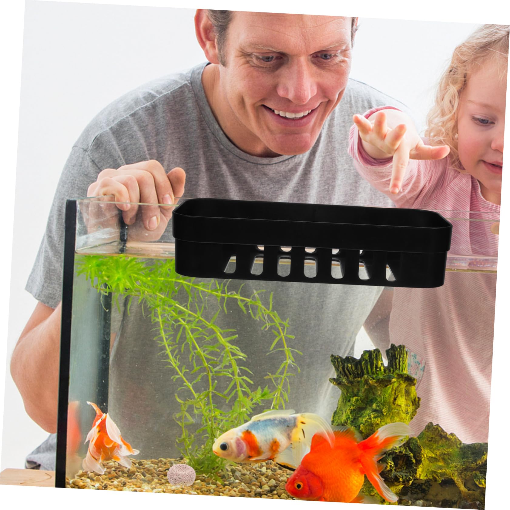 YOUNAFEN Support De Culture Hydroponique Pour Plantes Aquatiques