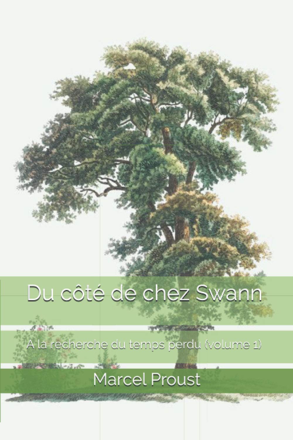 Du côté de chez Swann: A la recherche du temps perdu (volume 1)