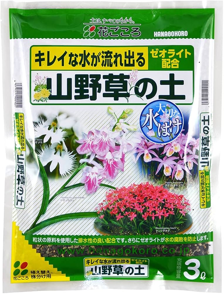 お探しの山野草あります お探しの山野草あります