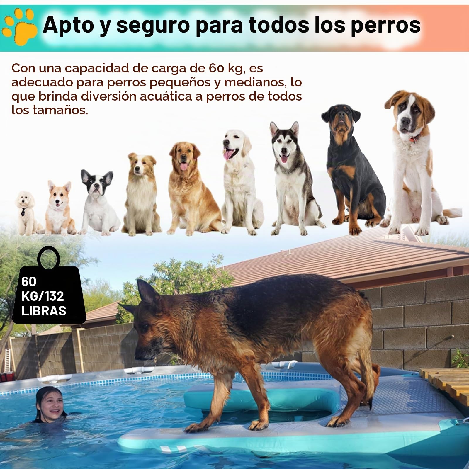 rampa de agua para perros Rampa plegable para piscina para perros, pequeña, Hasta 60 kg Inflable Pontón para perros Plataforma de muelle, Reutilizable Escalera de agua para rampa para mascotas Para ba