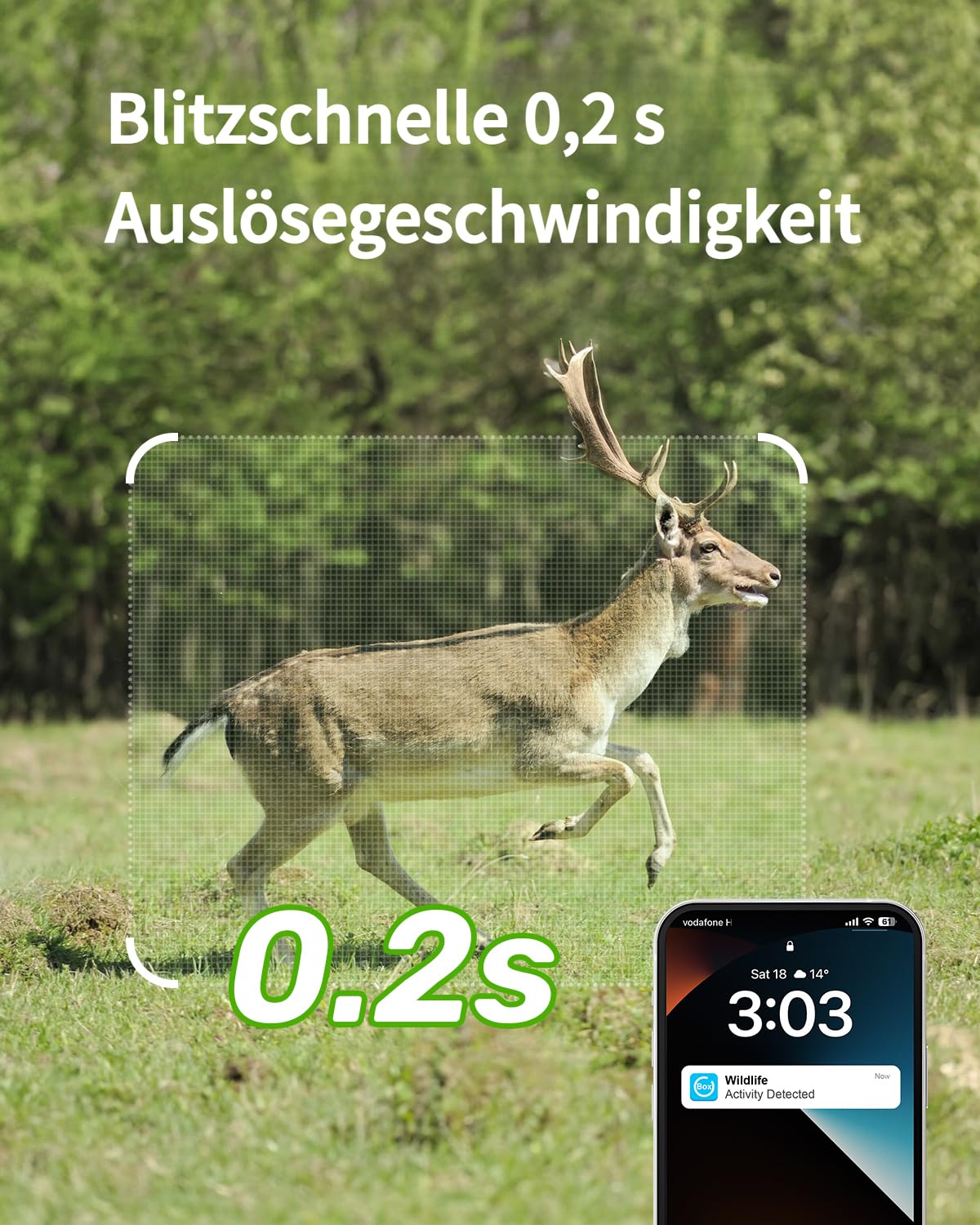4G LTE Wildkamera mit SIM Karte Solar