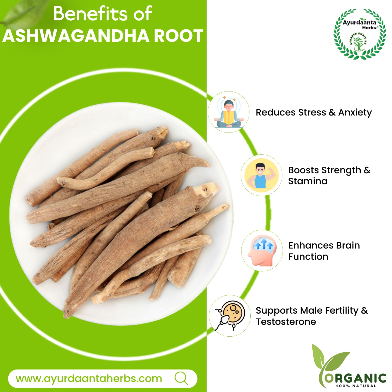 Ayurdaanta Herbs - Ayurdanta HerbsAswaganha /Ashwagandha Raw (GRADE-1) | Ashwagandha Indian Ginseng Plant Root Raw | Withania somnifera Raw |अश्वगंधा ( जड़ी बूटी खड़ी ) 100% Pure Natural Support for Stress100 Gram 4