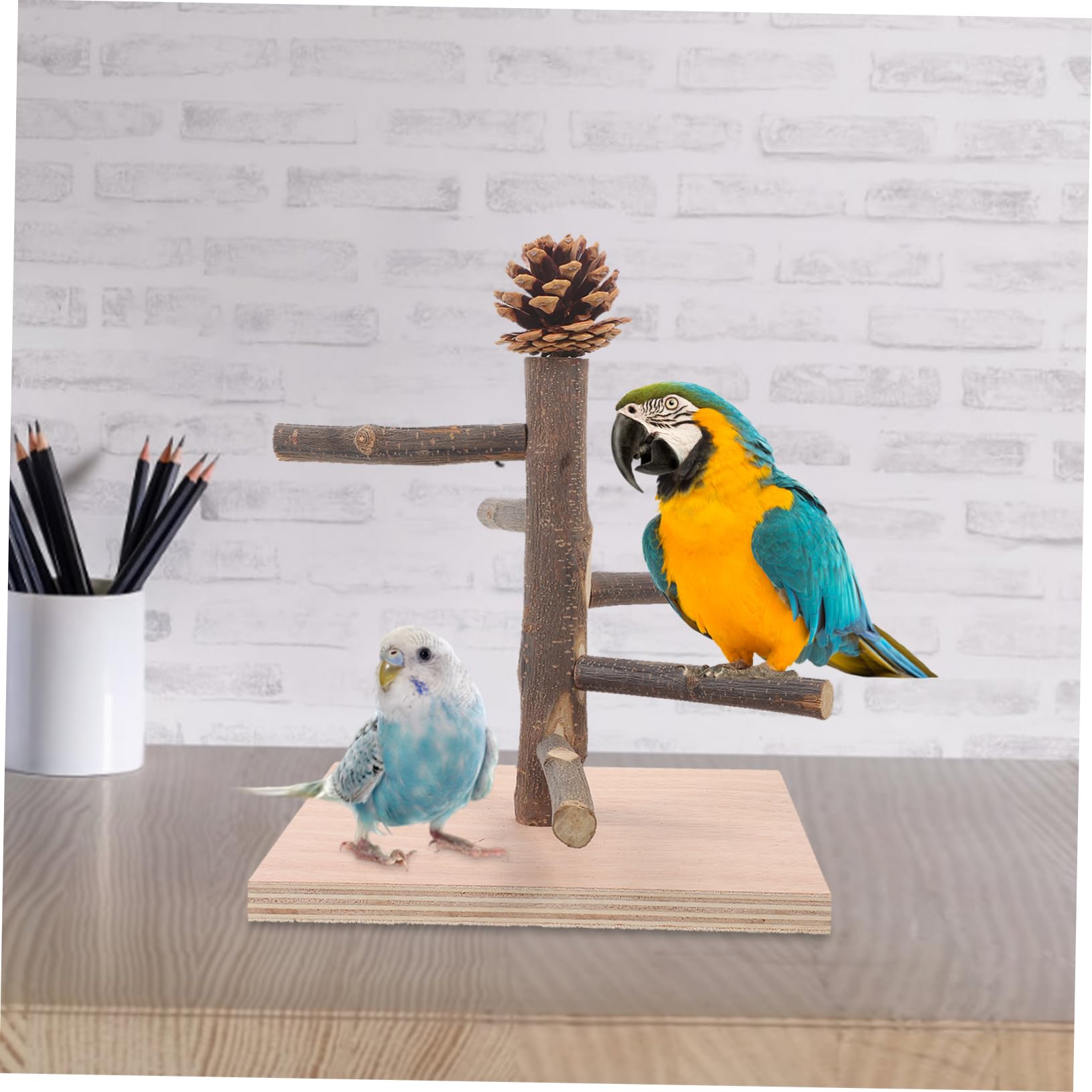 Kisangel 4 Piezas Marco De Entrenamiento De Loros Percha De Pájaro De Escritorio Percha De Pájaro De Mesa Puesto De Mesa para Loros Juguete Decorativo para Loros De Madera