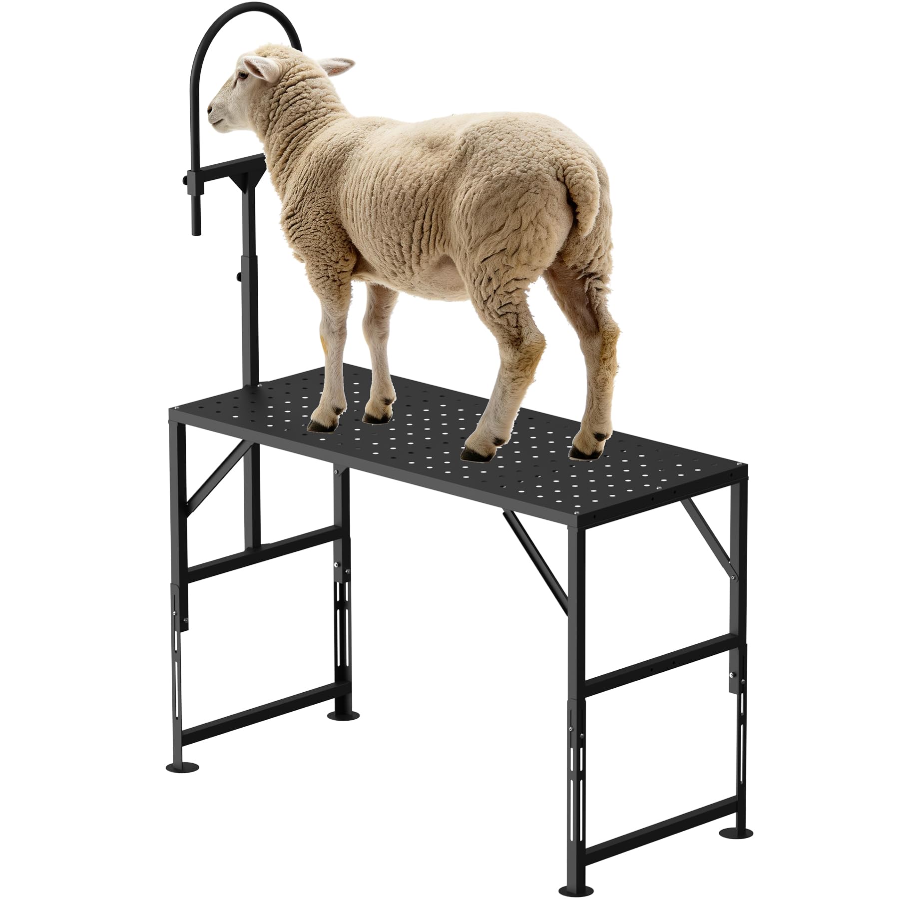Metal Livestock Stand, Goat and Sheep Stand with Headpiece, Adjustable Height 21.8” - 32.5”, Heavy-Duty, Weight Capacity 500 LBS, for Sheep, Goats, and Other Livestock