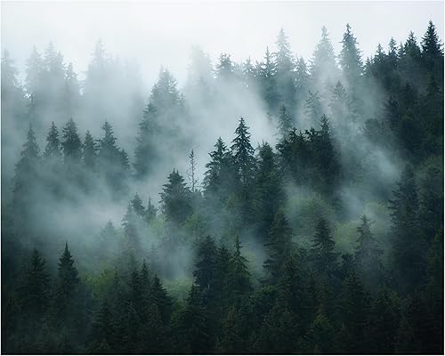 Tapiz de bosque con niebla de árbol de montaña verde paisaje natural tapiz sala de estar dormitorio decoración 5x4ft 59.1x47.2 in
