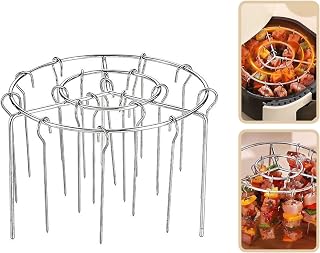 2025 New Air Fryer Grill Skewer Rack, Stainless Steel BBQ Kabob Set, 30 Vertical Meat Skewers with Round Hanging (1)