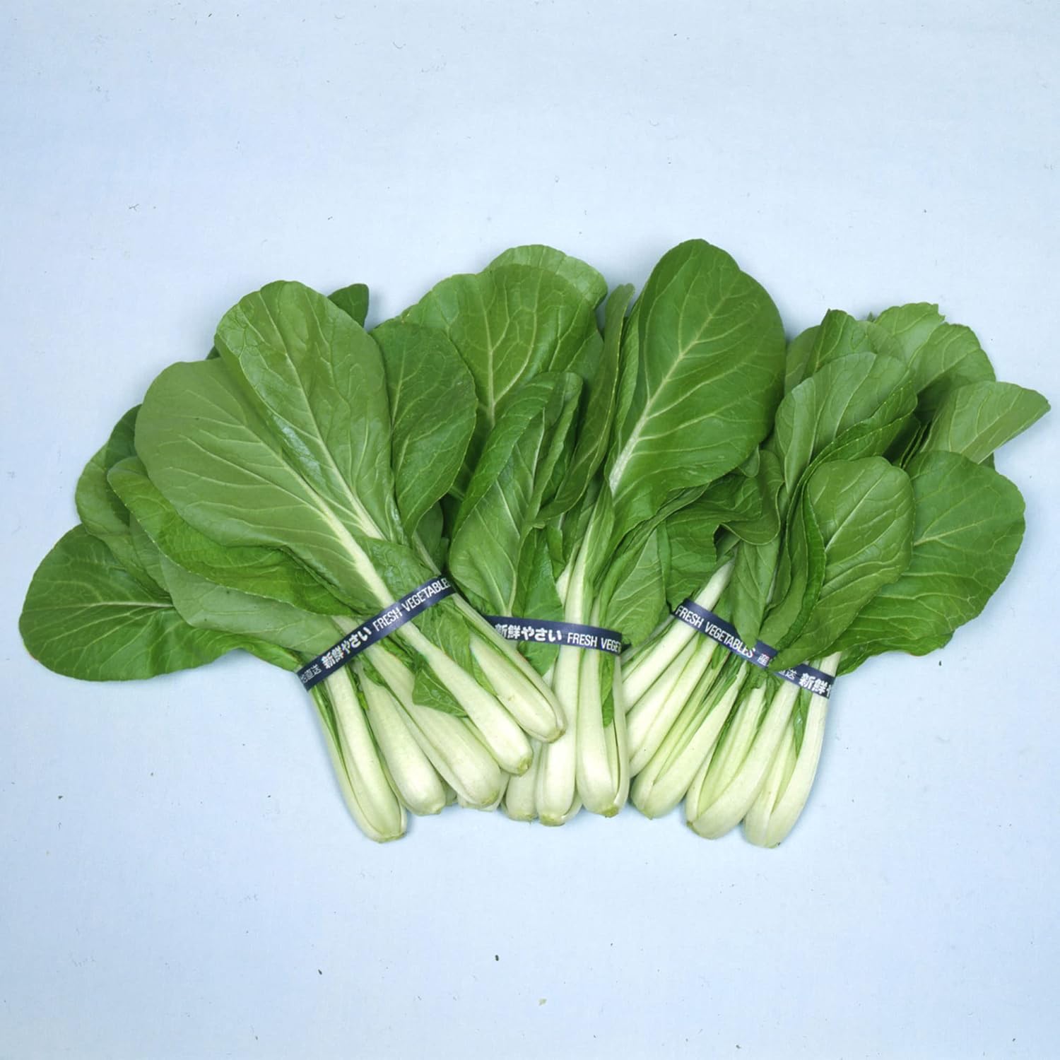 Chinese Cabbage Seeds - Osaka Shirona - 1 Oz ~11400 Seeds - Non-GMO, Heirloom - Asian Garden Vegetable & Microgreens