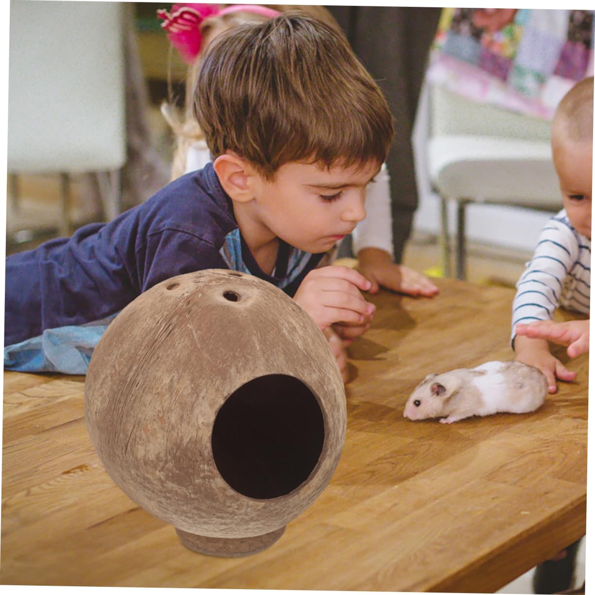 IMIKEYA 4 Stück Hamster Nest Spielzeug Hamster Kokosnüsse Kokosnuss Schale Meerschweinchen Versteck Hamster Versteck Hamster Verstecke Hamster Kokosnuss Ratten Versteck