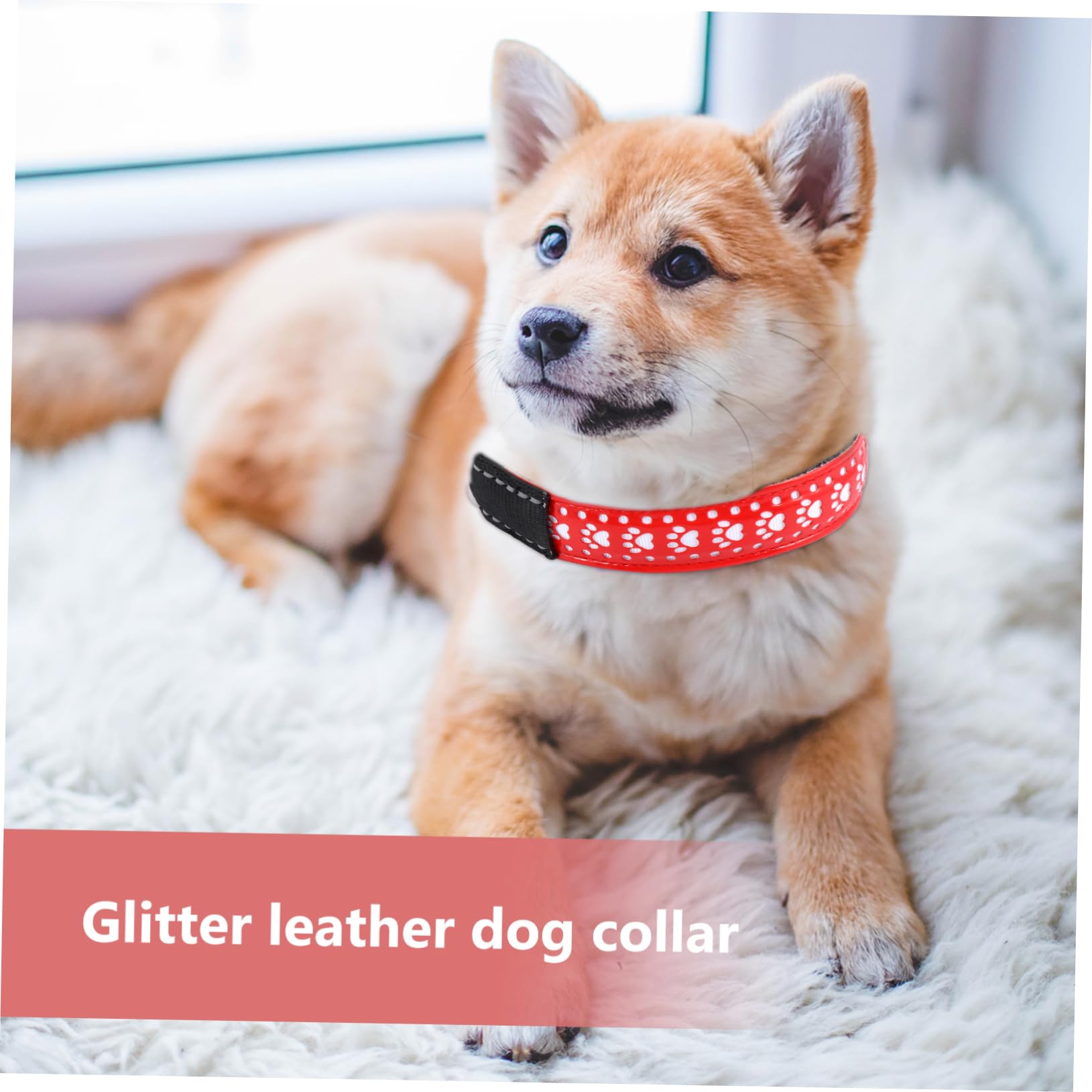 FOMIYES Collier LED pour Chien 3 Pièces pour La Randonnée Nocturne À Piles Lumineux