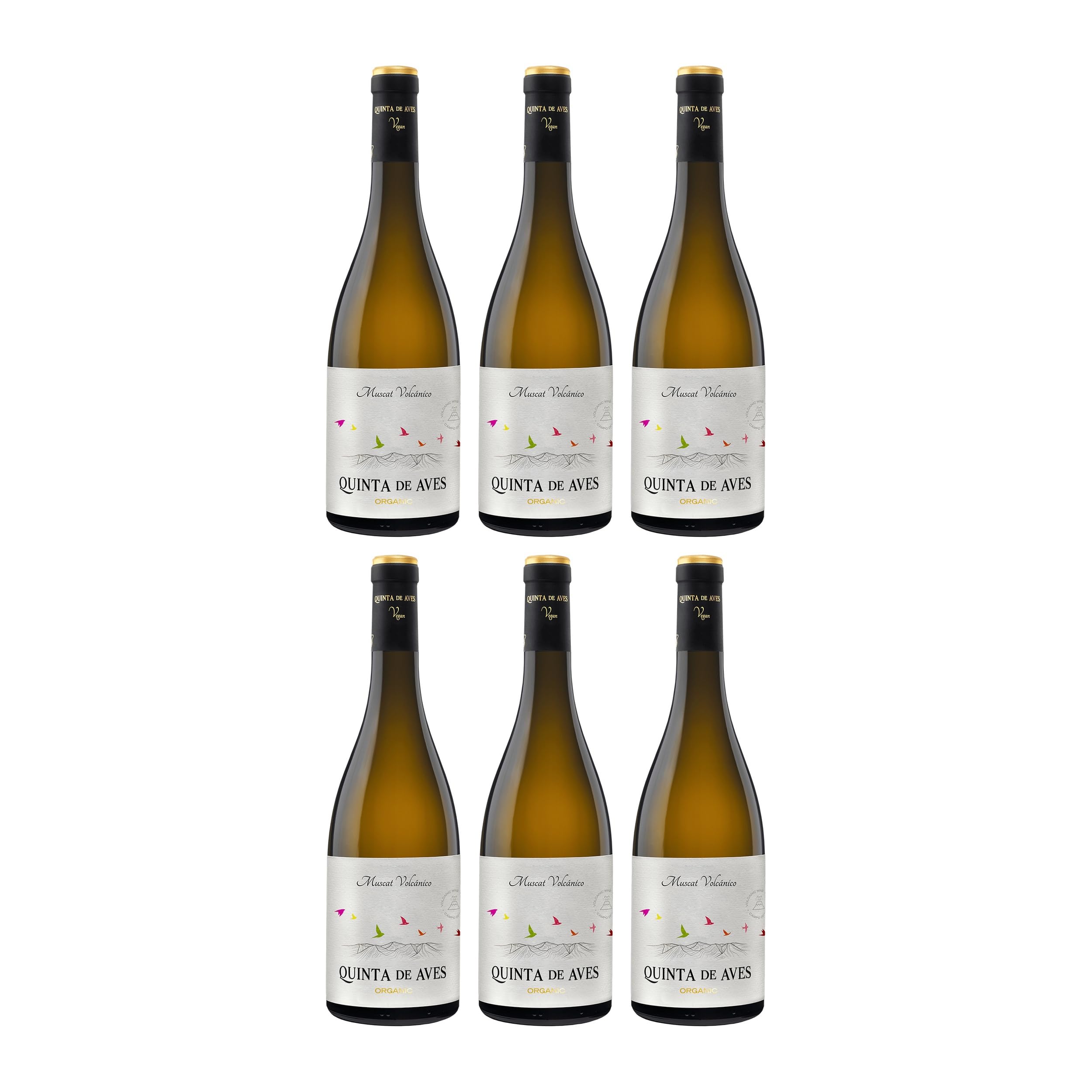 Quinta de Aves Muscat Volcanico Weisswein Weiss lieblich BIO Spanien inkl. FeinWert E-Book (6 x 0.75 l)