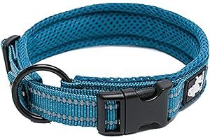 Truelove Padded Reflective Dog Collar for Enhanced Visibility and Comfort