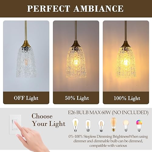 Miniatura 4 de Luces colgantes de cristal para isla de cocina, 1 luz de oro cepillado con vidrio martillado y varillas, moderna lámpara colgante de granja pequeña