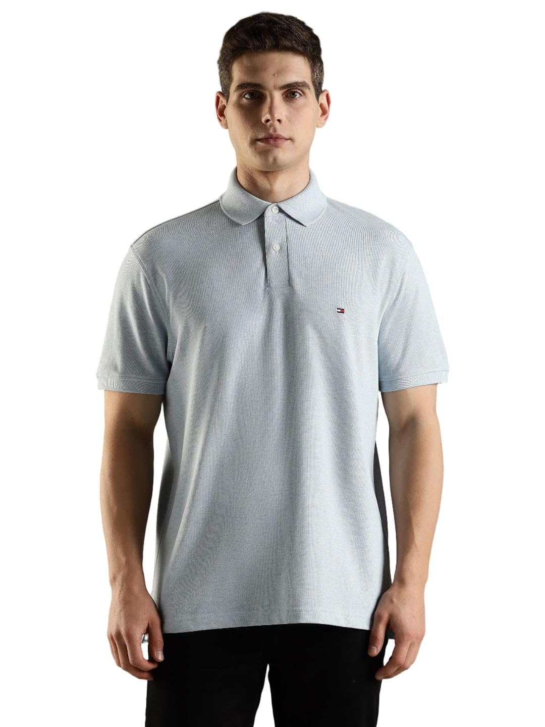 tommy hilfiger Men Polo Shirts-picture-11