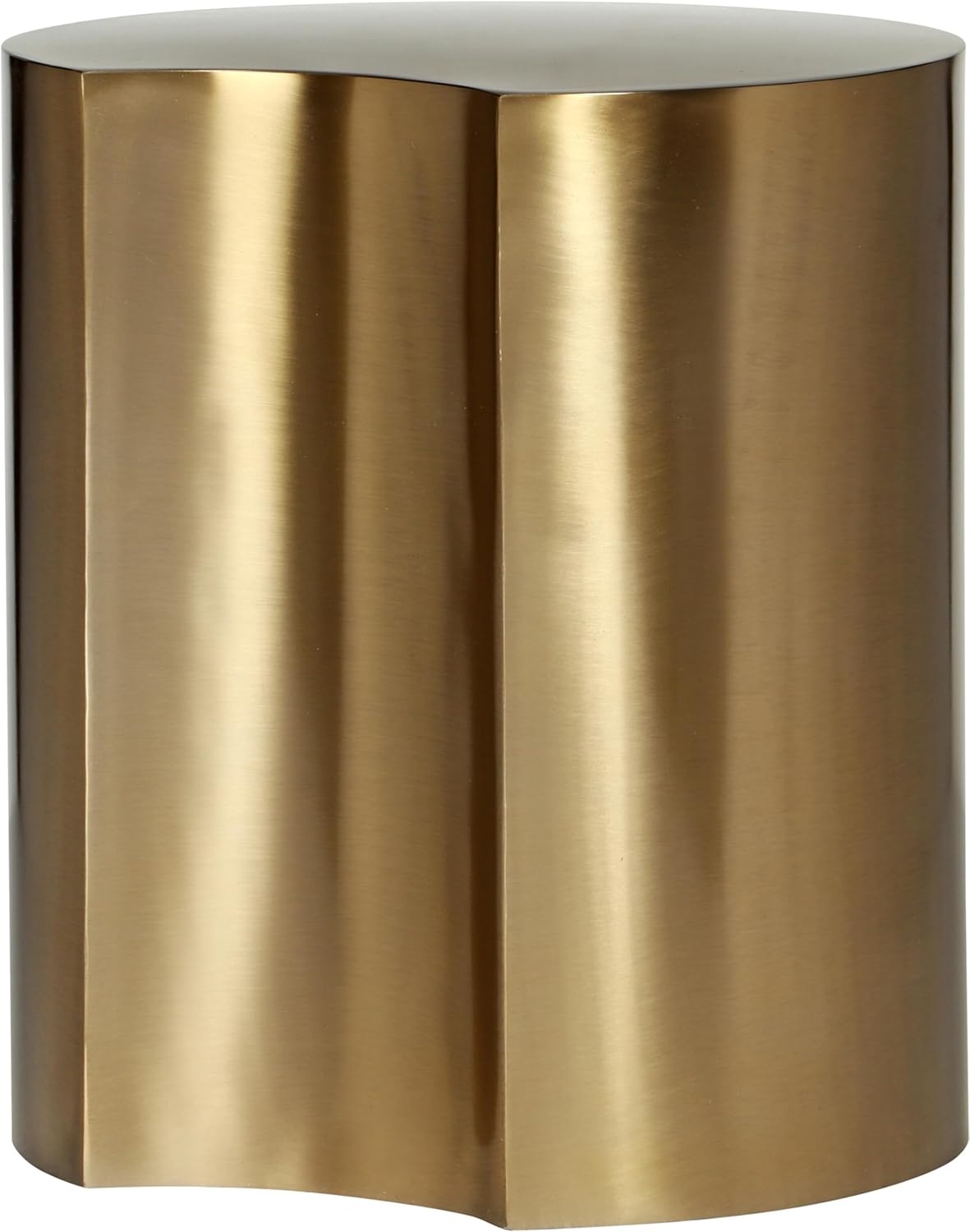 trigger 現地株 塊根植物 ピグマエア 姫野翔太 鉢