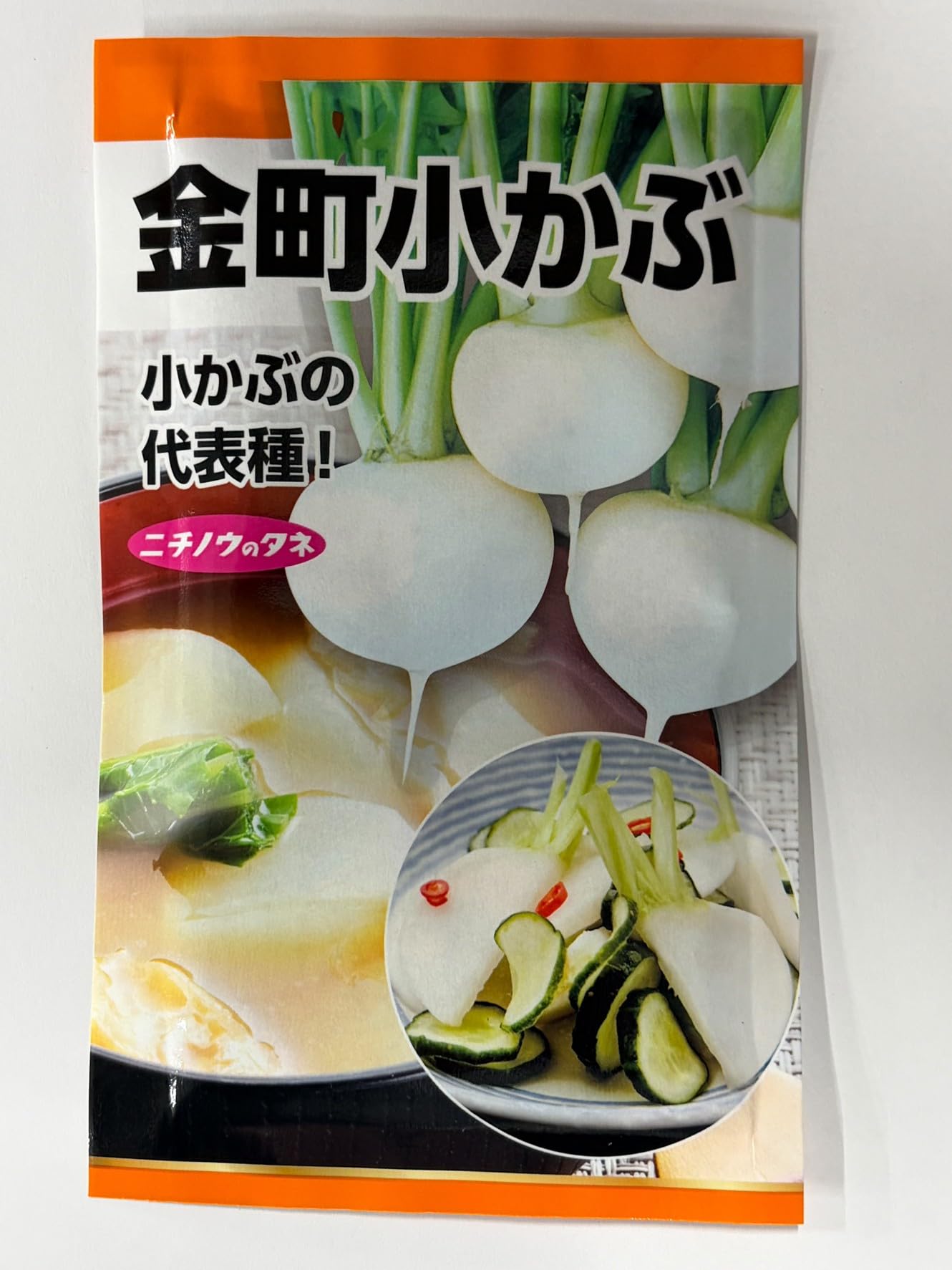 発芽中の野菜球根4個 はつかねぎ 【野菜球根 充填時130g ／1個売り】｜ 【植物の