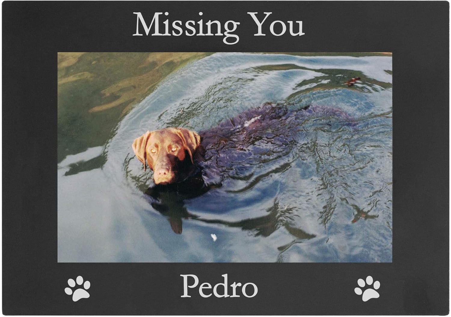 CustomGiftsNow Missing You - Custom Dog - Engraved Anodized Aluminum Hanging/Tabletop Personlized Memorial Photo Picture Frame - Add Your Dogs Name