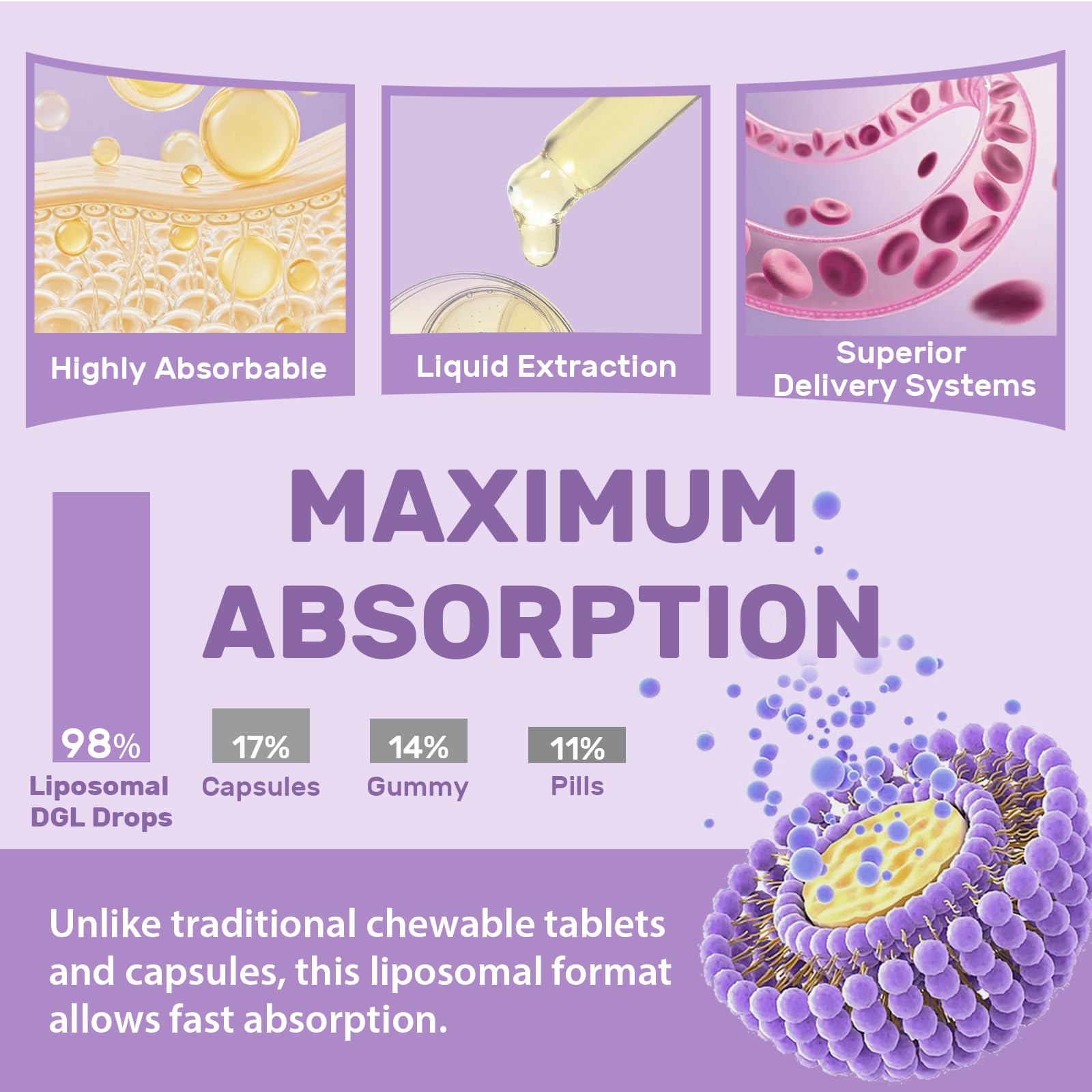 Liposomal DGL Licorice Root Extract, Digestive, Max Absorption, 60 Serving — Amazon image 4