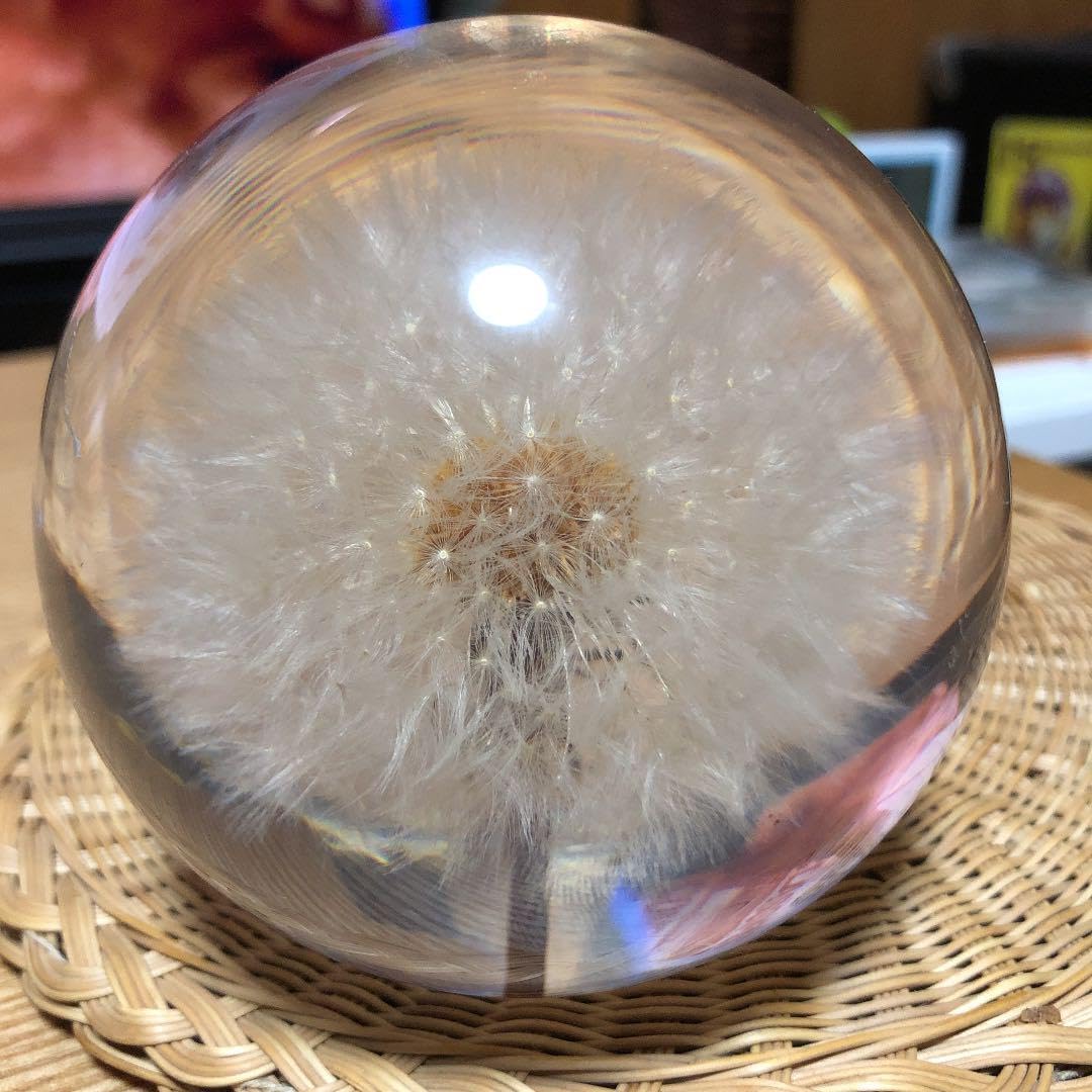 アリスです。 ANTEPRIMA 花柄二つ折り財布 ライトグレー アリスです