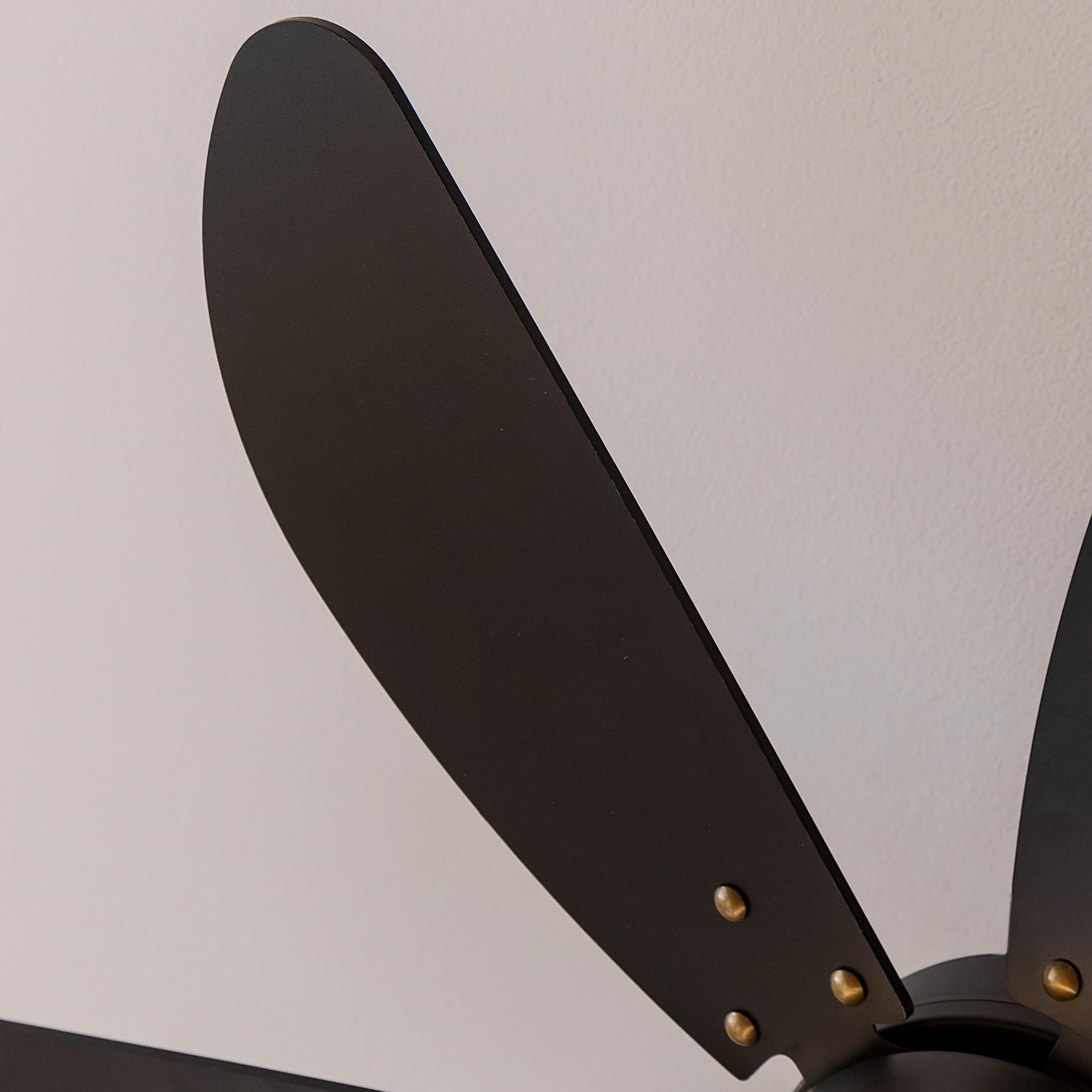 Cecotec - Ventilateur de Plafond avec Lumière EnergySilence Aero 3600 Vision Full Black - 50 W, Diamètre 91 cm, Ampoule non Incluse, 3 vitesses, 6 Pales, Mode Été/Hiver, Design Élégant