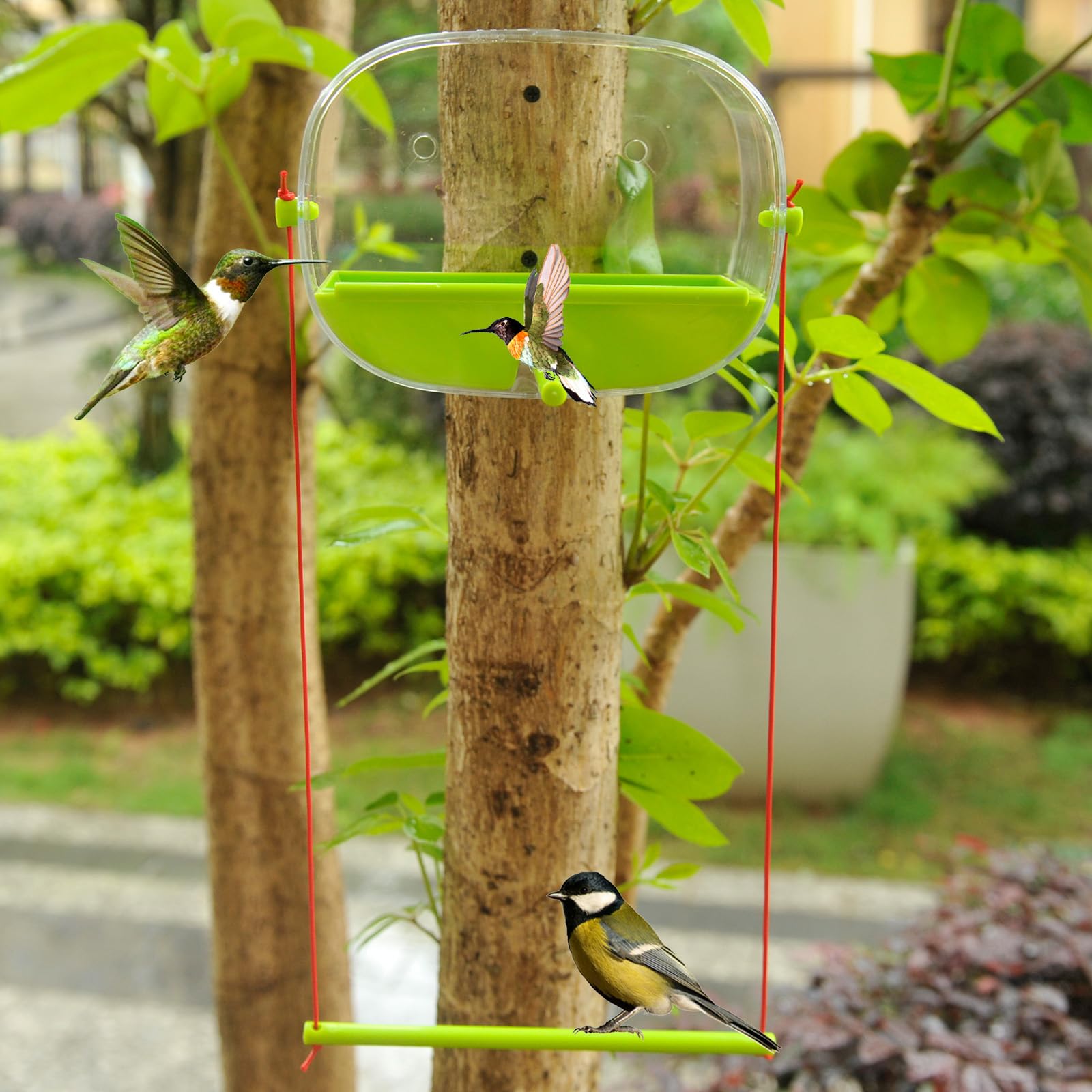 Smarted comedero automático para pájaros espirales ventosa vida silvestre cámara comedero grande transparente almacenamiento de siembra