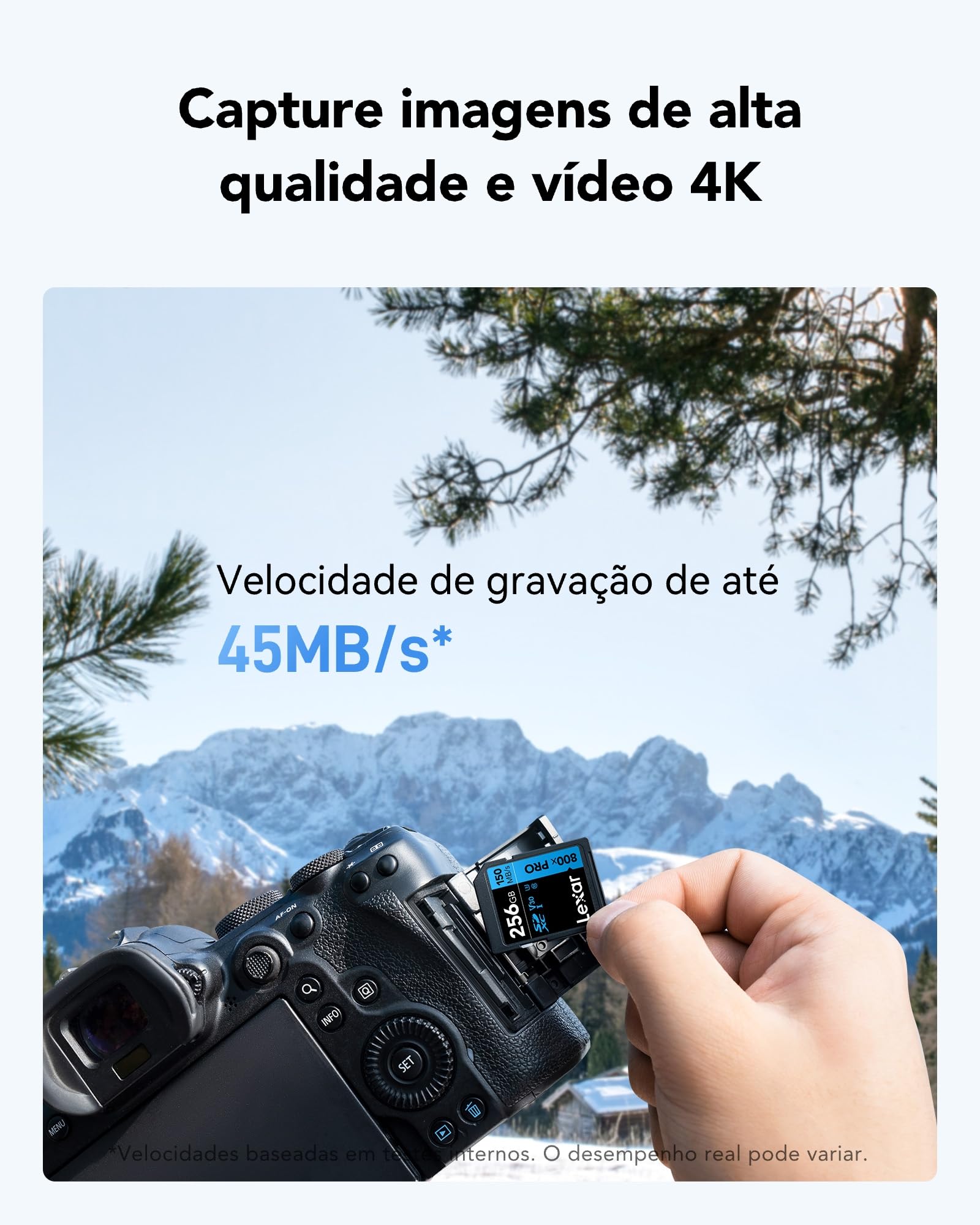 Lexar SDXC 800x Pro 256GB C10 V30 U3