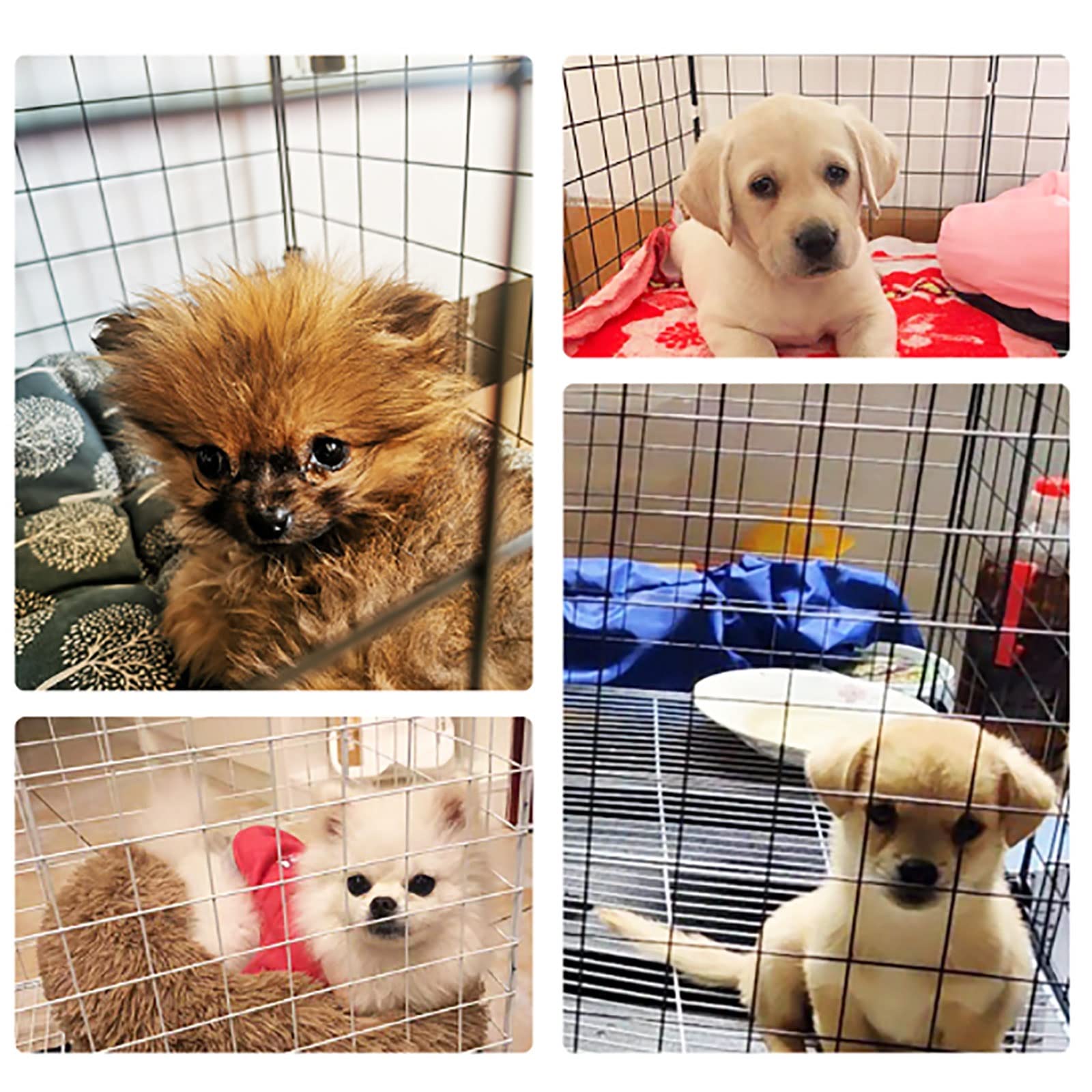 Gabbia per Gatti - Gabbie per Gatti Recinto per Gatti da Interno Recinto per Gatti Gabbia per furetti Trasportini per Cani Cucce per Gatti Facile da Pulire - Ampio Spazio per Esercizi Ideale