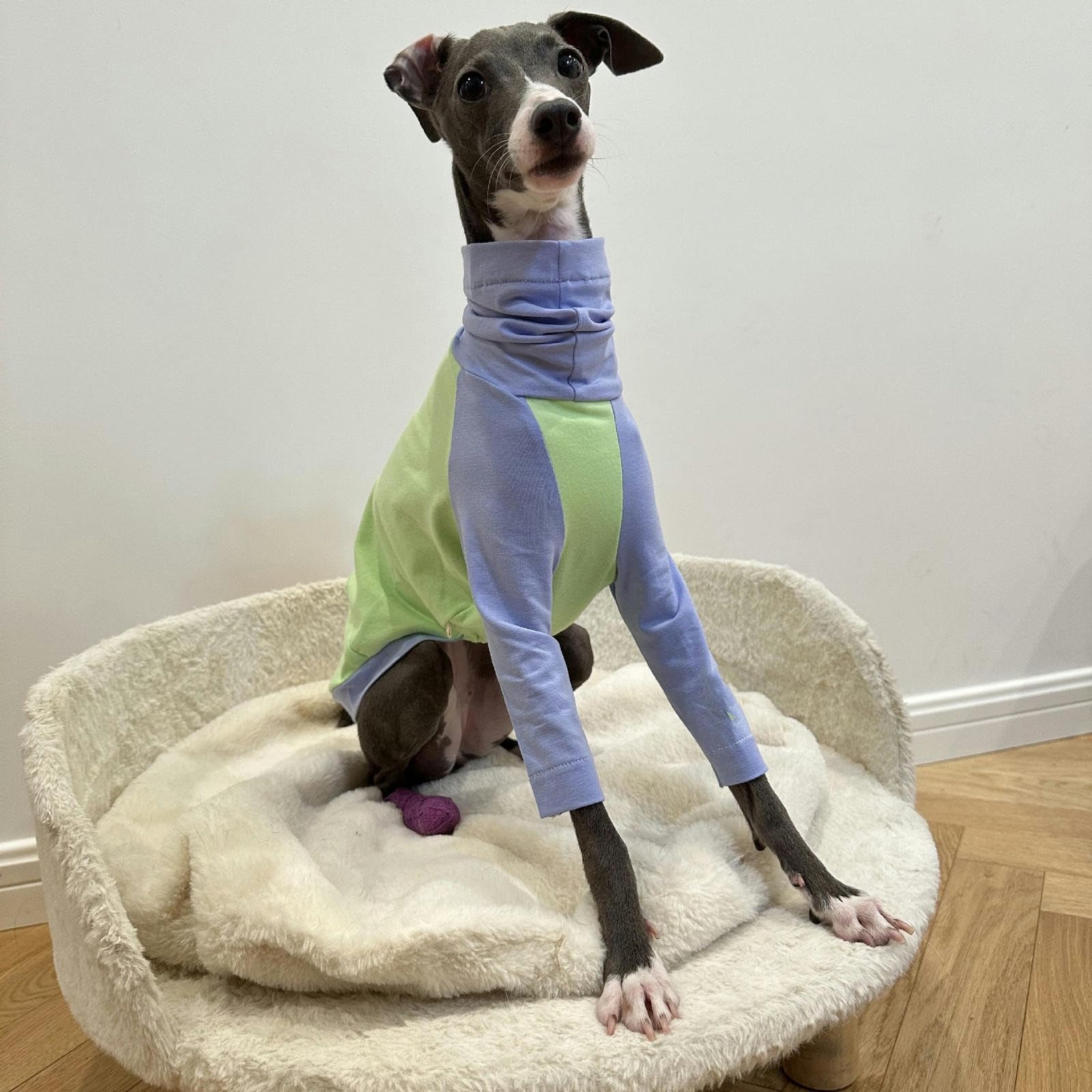 Ropa de Galgo Italiano para Primavera y Verano, Camisa Fina de algodón para Perro, Jersey de Cuello Alto, Camisetas para Perros, Disfraces Suaves y Transpirables para Perros