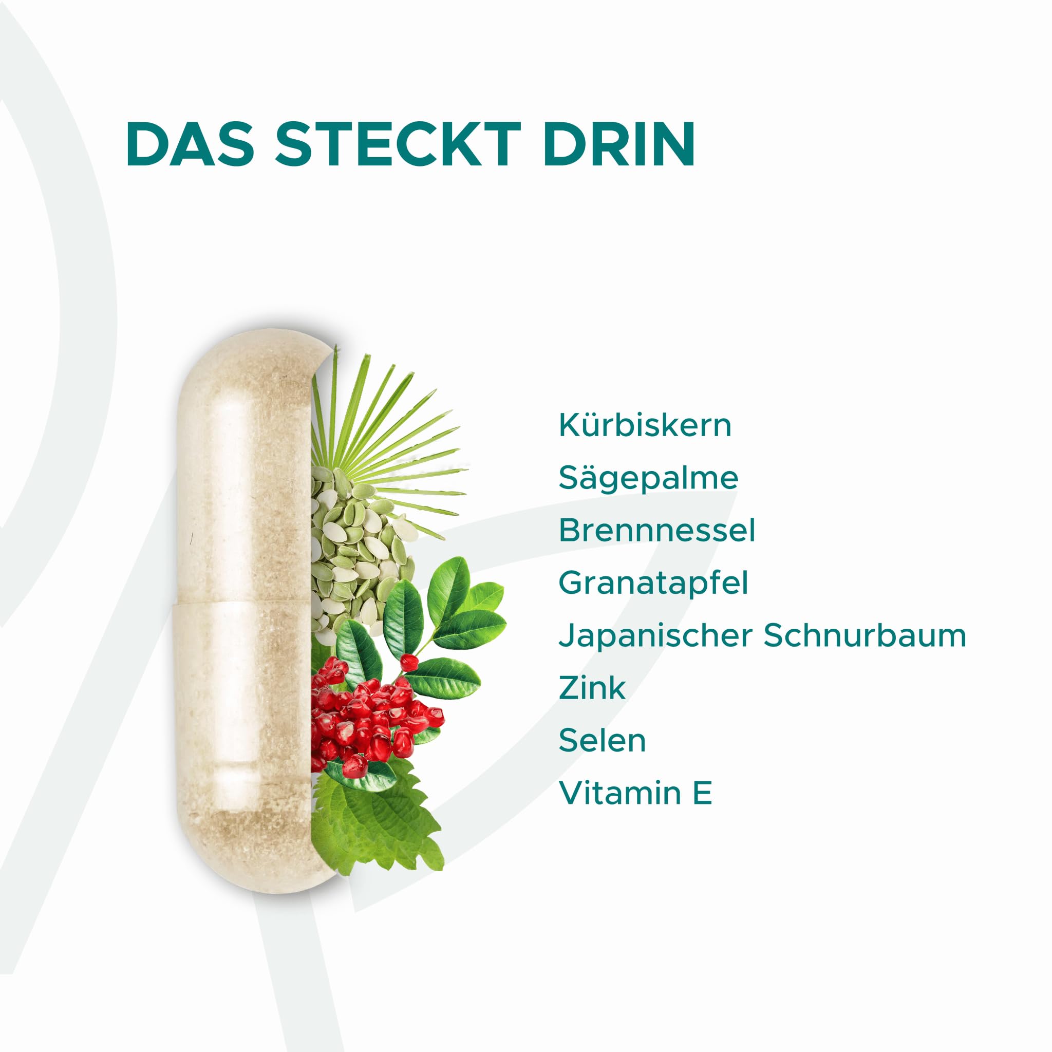 Prosta Komplex hochdosiert - Einzigartige Formel mit Kürbiskern Extrakt, Sägepalme Extrakt, Granatapfel Extrakt, jap. Schnurbaum Extrakt, Vitamin E, Zink & Selen