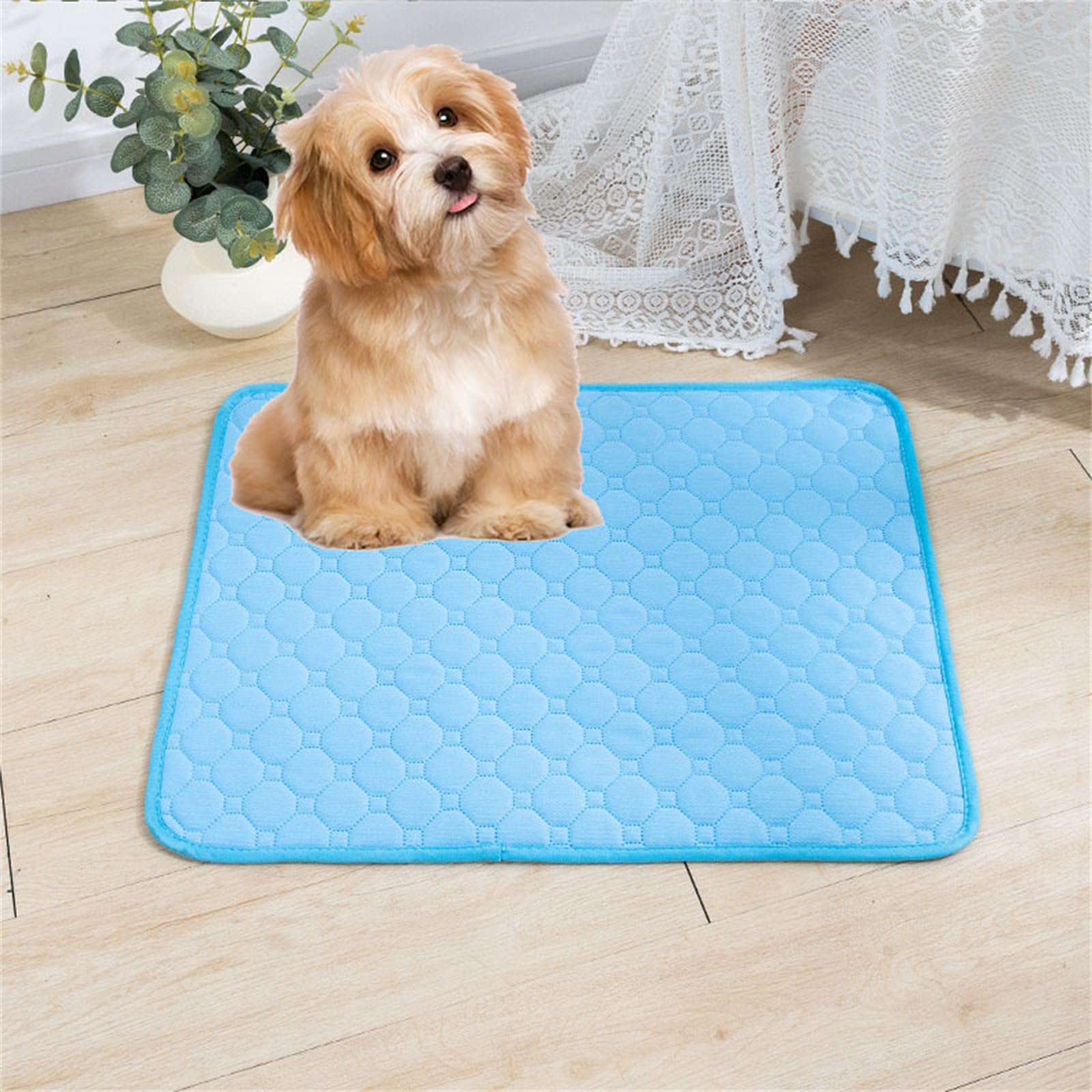Lukery 2 Pack Washable Pee Pads for Dogs, Waterproof Reusable Dog Pee Pads Non-Slip Soft Pet Diaper Pads Fast Drying Puppy Training Pads for Home,Travel, Car (L(70 * 50cm),Sky blue)
