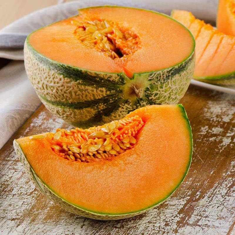 Melon Seeds - Charentais - Packet - Vegetable Seeds, Heirloom Seed, Open Pollinated Seed Fast Growing, Culinary