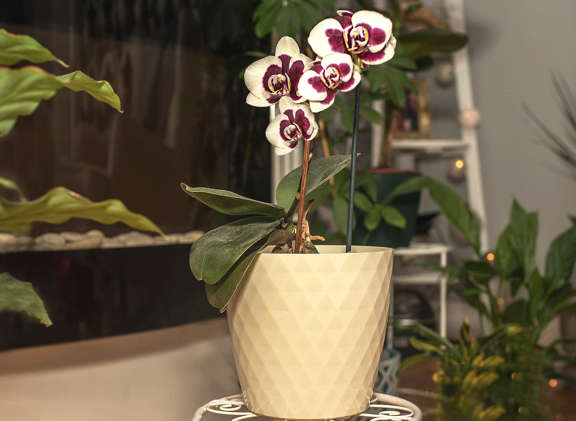 Home Garden Ornaments Plant Pots Indoor, Indoor Plant Pot - Decorative Plastic Flower Pots with Glossy Crystal Surface (Diameter: 12cm, Colour: Cream) — view 5