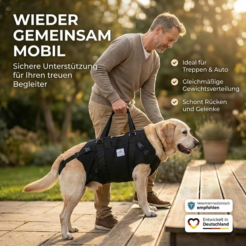NATURE PET Hunde TRAGEHILFE GANZKÖRPER – Tragehilfe für Hund in Groß mit gepolstertem Hundetragegurt aus 4mm Neopren – Hebegeschirr für Reha, Treppen & Auto – verstellbar & stabil – Größe XL