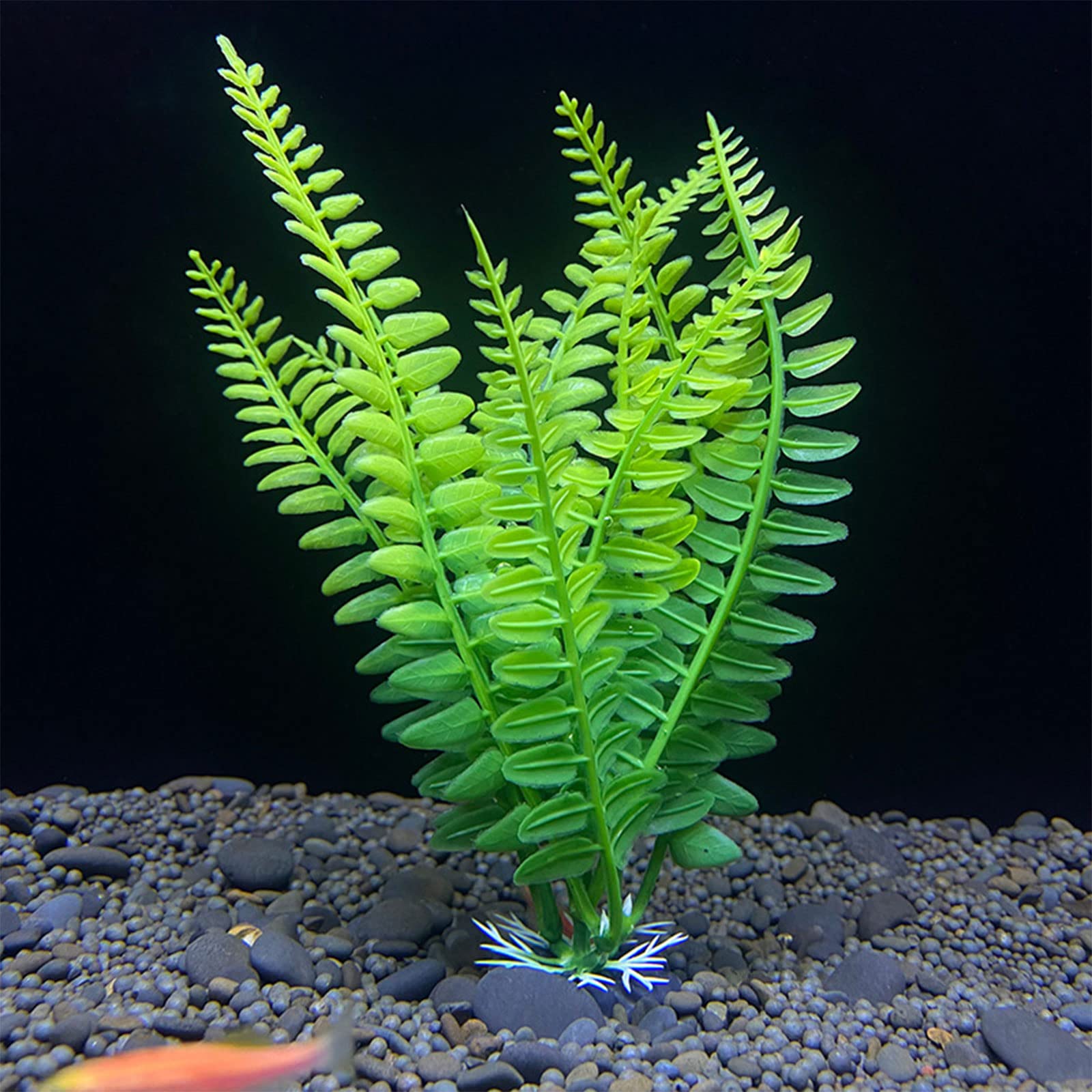 Haiki Plante aquatique artificielle pour décoration d'aquarium