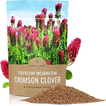 Crimson Clover Seeds Bulk Quarter Pound Bag Over 20,000 Open Pollinated Non-GMO Seeds Trifolium incarnatum